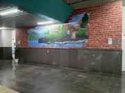 Graffiti Artist in Delhi NCR