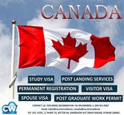 Best Immigration in mohali