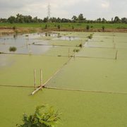  Water Conservation Projects - Adi India  