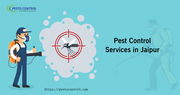 Best Sanitization and Disinfection Services ​in Jaipur