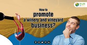 How to Promote a Winery and Vineyard Business?