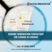 Top Immigration Consultants in Chennai – Novus Immigration Chennai