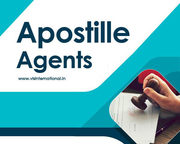 Apostille Agent in Chennai,  Delhi,  Bangalore,  Mumbai,  Hyderabad