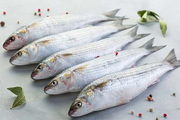 No. 1 Online Fish Home Delivery Bhubaneswar