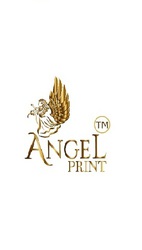 Door Skin For Door - Angel Print
