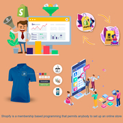 Best shopify website