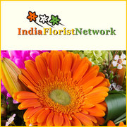 Spend Rakhi with Brother with amazing Rakhi gifts @ cheap prices,  