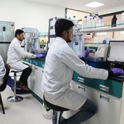 pharmaceutical reference standards suppliers - SynZeal