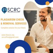 plagiarism removal services