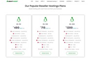 Advanced Plans Reseller Hosting