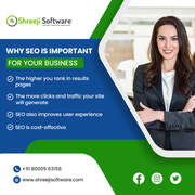 Best SEO Company in Ahmedabad- Shreeji Software