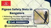 Pigeon Safety Nets in Bangalore