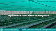 Agriculture Safety Nets In Bangalore