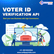 Best Voter ID Verification API Provider