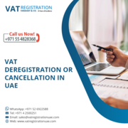 Deregistration (VAT,  Excise,  VAT Group,  Designated Zones)