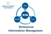 Enterprise Information Management