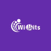 Best Digital Marketing & Web Development Company In India | Wibits Web