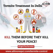 Termite Treatment In Delhi