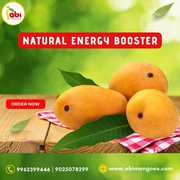 Quality Fresh Organic Alphonso Mangoes Online.