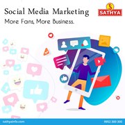 Social Media Marketing Agency | Sathya Technosoft