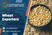 Wheat Exporters