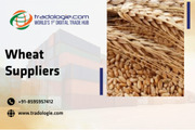 Wheat Suppliers