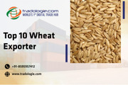 Top 10 Wheat Exporter