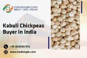 Kabuli Chickpeas Buyer In India