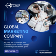 Global Marketing Comany - Tryweb Solutions