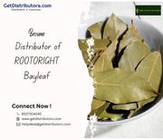 Become Distributor of ROOTORIGHT Bayleaf