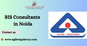 Agile Regulatory BIS Consultant In Noida (Delhi NCR) 