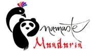 Mandarin Language Online Course