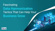 What is Master Data Harmonization and Data Harmonization techniques