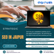 SEO in Jaipur