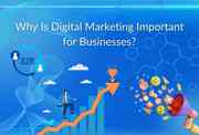 Why Is Digital Marketing Important for Businesses?