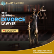 Best Divorce Lawyer in Gurgaon,  Divorce lawyers - Family Kanoon