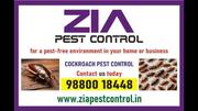 Cockroach Pest control | Upto 30% Off on Cockroach Treatment Bengaluru