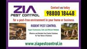 Rodent Pest Control | Trained technician | Residences and Apartments |