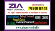 Garden Pest control | General pest service | Upto 25% Off contact toda