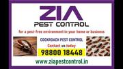 We offer a highly effective cockroach treatment | Zia Pest Control |