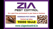 Cockroach Control service | Upto 30% Off | Mosquito Control | 4004 