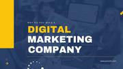 Best Digital Marketing Company in Ambala | Boost Your Business Online