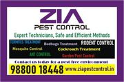 Zia Pest control | Perfect place for oest control solutuins |  Blr | 6