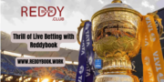 Reddybook: Play Games & Bet on Sports for Big Wins