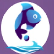 Digital Marketing Company - Fish Eye Advertising