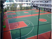 Experience the Pacecourt Difference