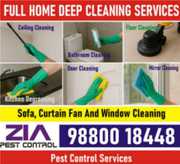 Professional Deep Cleaning Service | Zia Pest Control | Call Us Today 