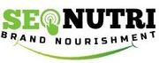 Explore SEONutri blogs for better insights