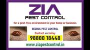 Zia Pest Control | Bed Bugs Control | Off Upto 50% Residence | Call No
