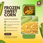 Frozen Sweet Corn Supplier in India | Fresh & Premium Quality Corn.